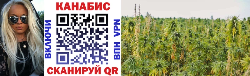 Бошки Шишки ГИДРОПОН  Купить закладки  Лиски 